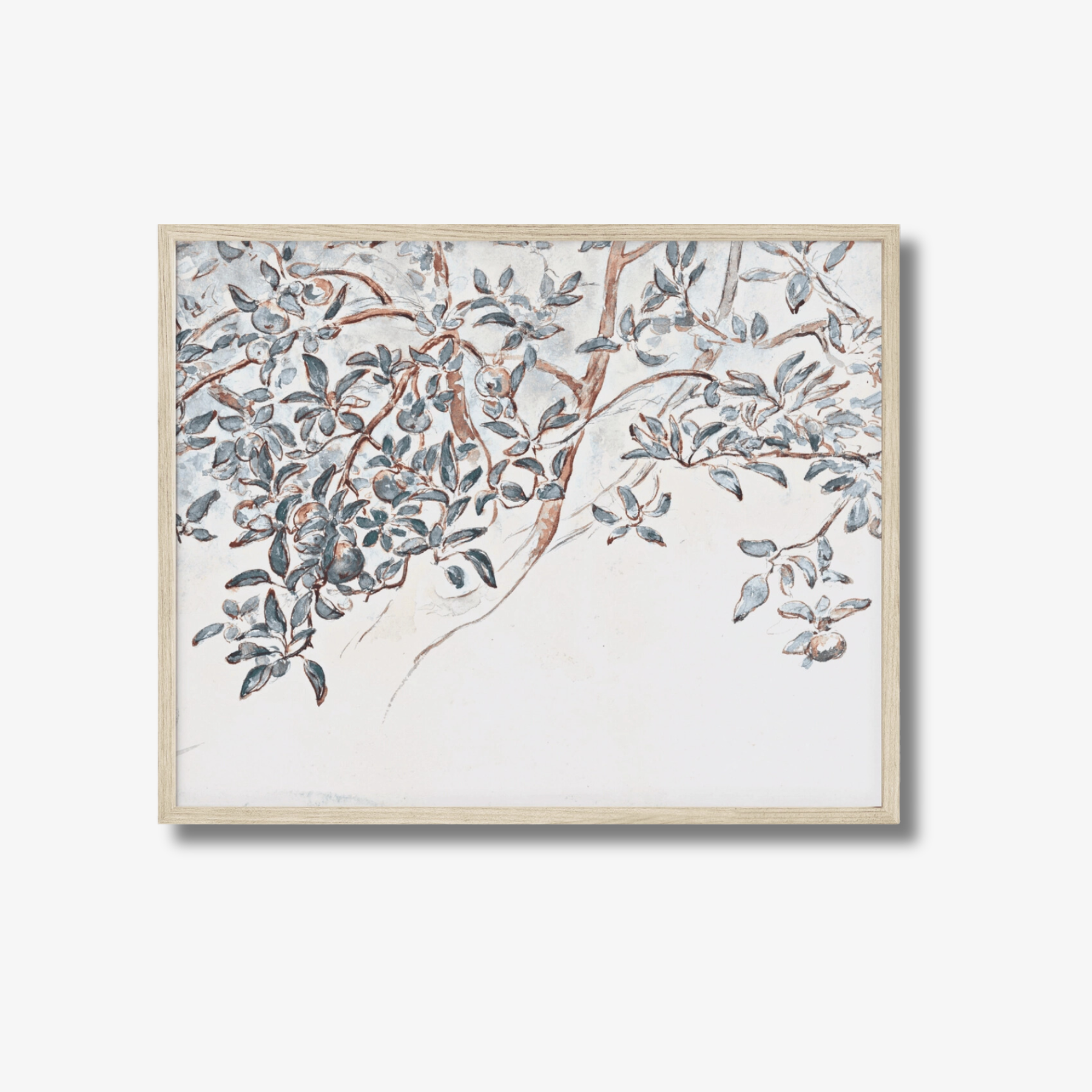 Apple Tree Branches Vintage Art Prints