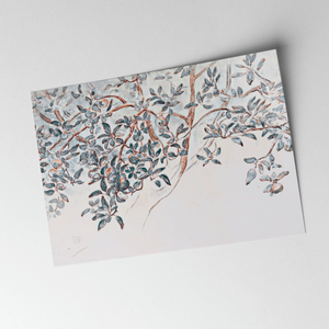 Apple Tree Branches Vintage Art Prints