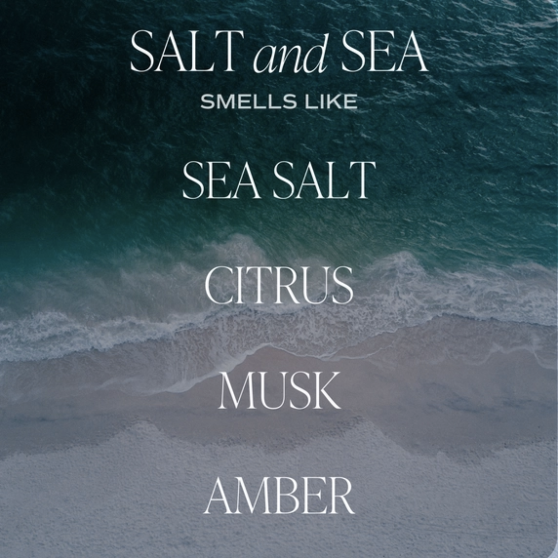 Salt + Sea Soy Fragrance Notes