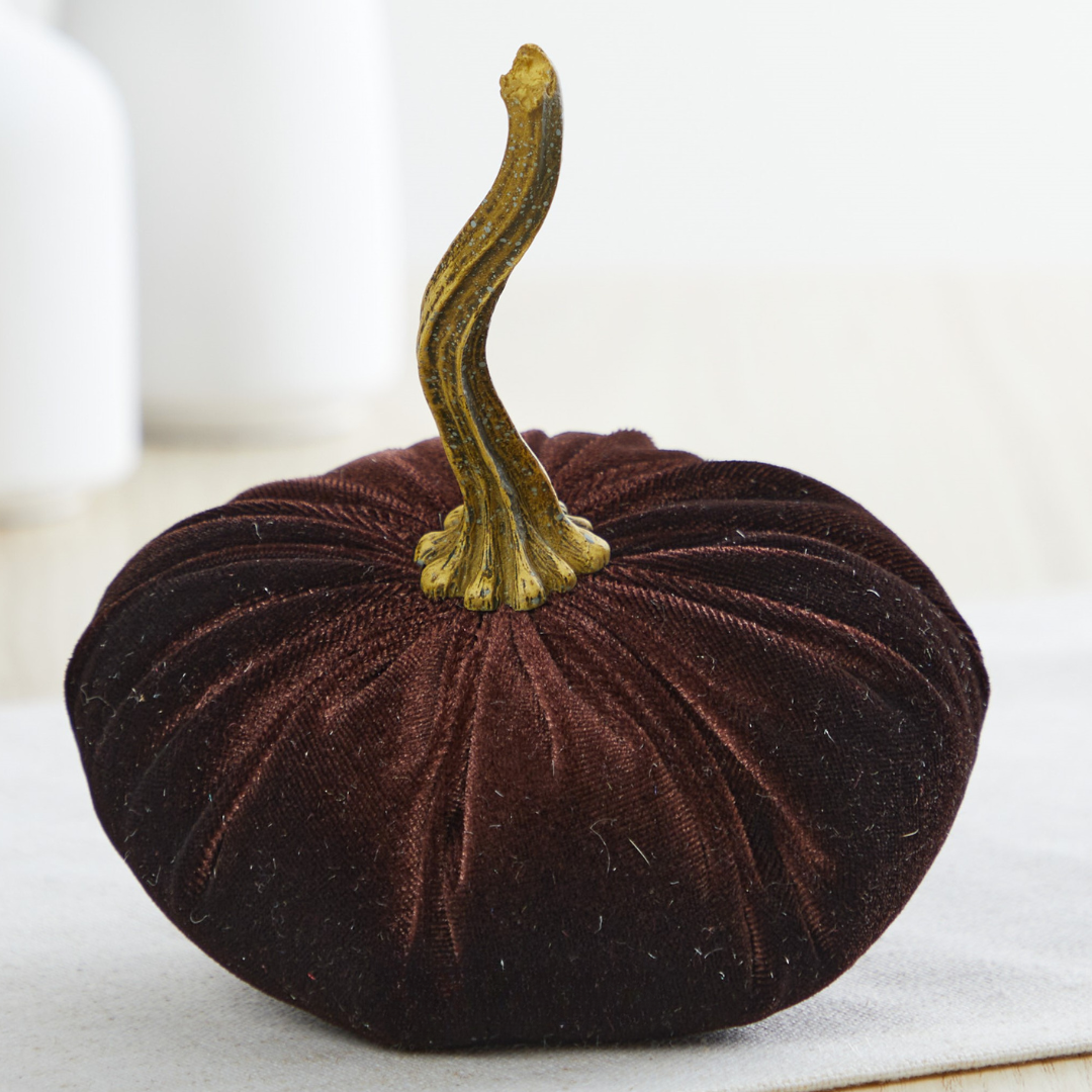 Velvet Pumpkins Brown