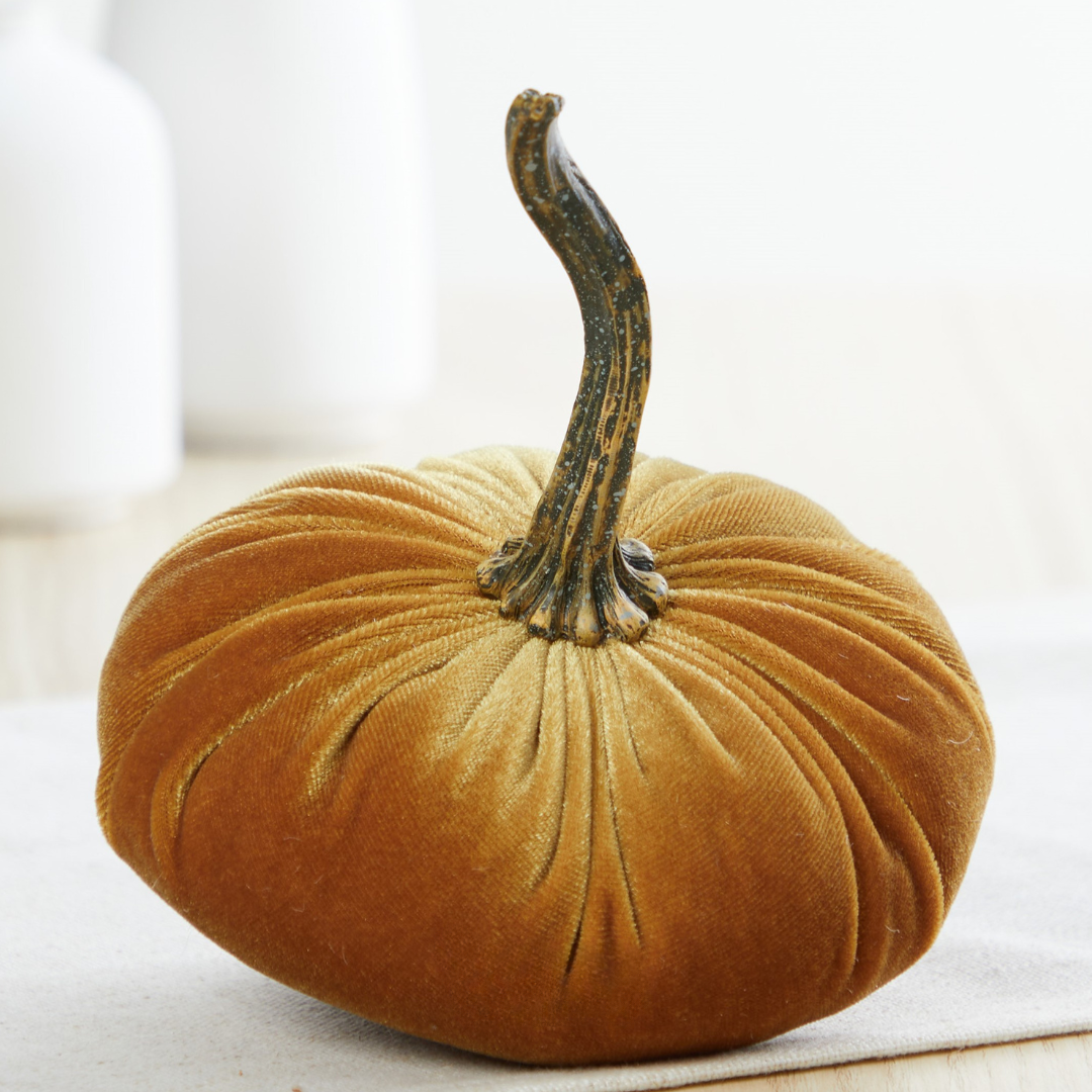 Velvet Pumpkins Gold