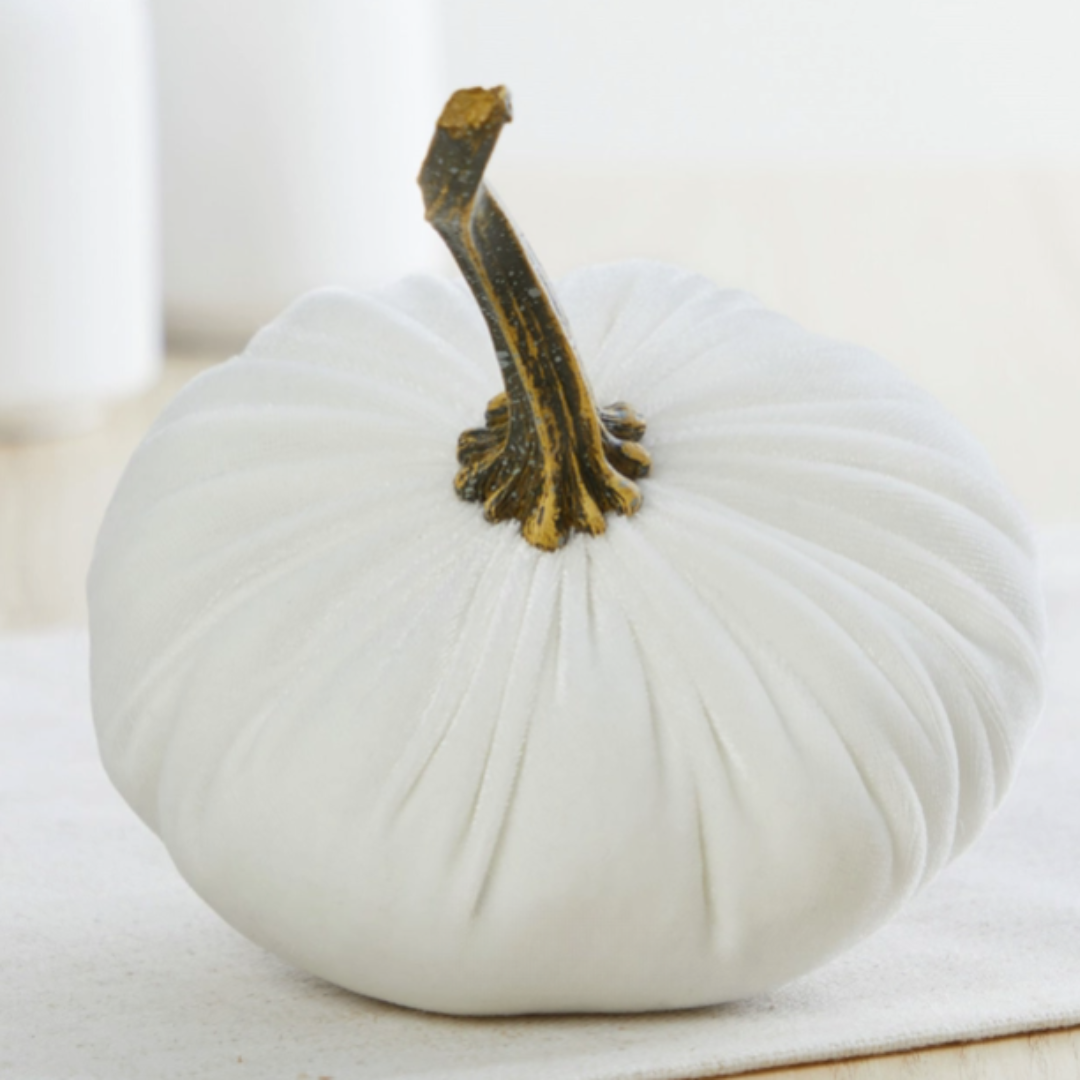 Velvet Pumpkins Ivory