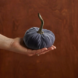 Velvet Pumpkins Size Reference