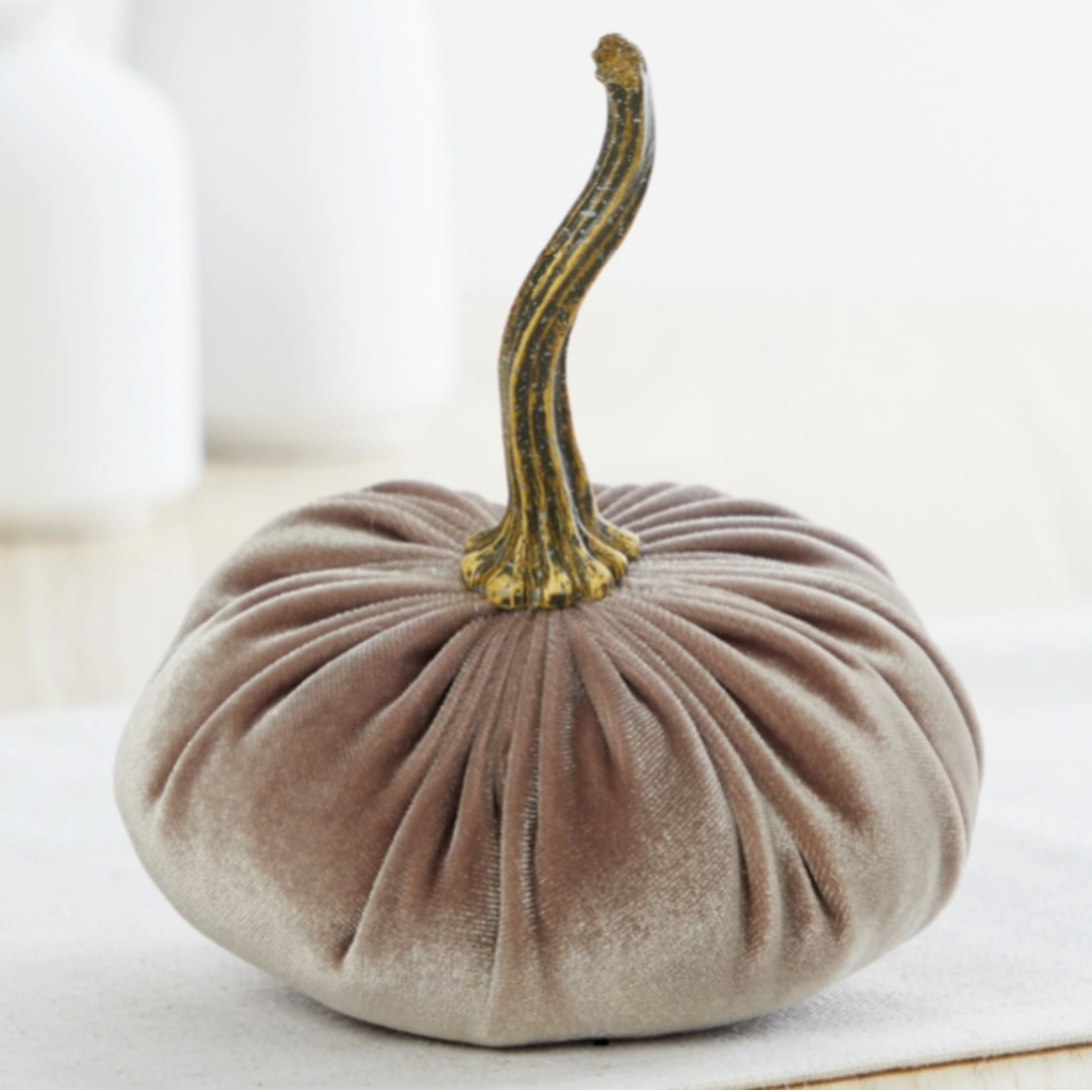 Velvet Pumpkins Taupe