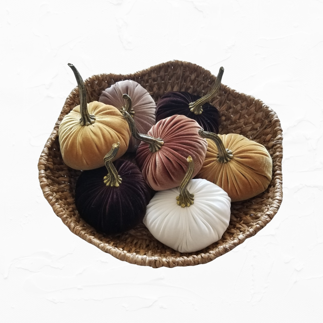 Velvet Pumpkins