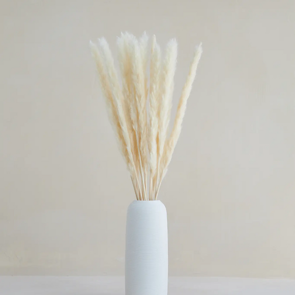 Small Pampas in White - One Cozy Home