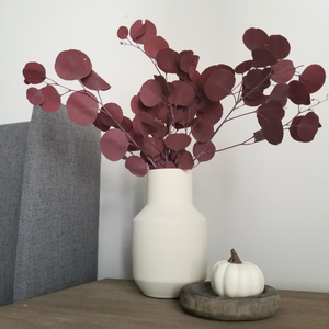 Preserved "Silver Dollar" Eucalyptus in Burgundy